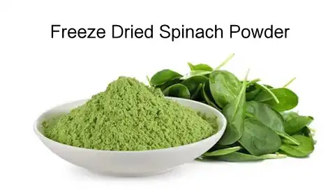 Benefits of Freeze Dried Spinach Powder in Functional Foods